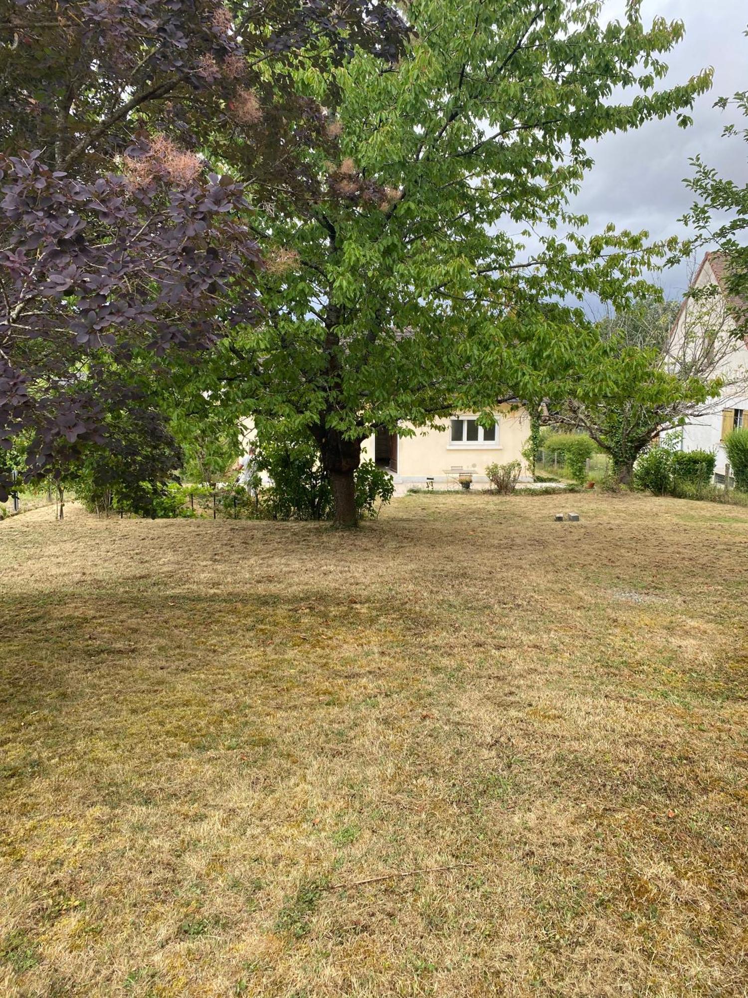 Au Calme - Maison Avec Grand Jardin - Proche Zoo De Beauval Vicq-sur-Nahon Exterior photo
